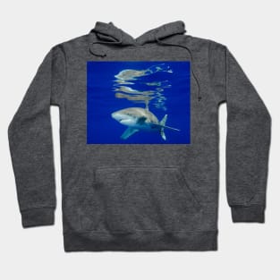 Reflections Hoodie